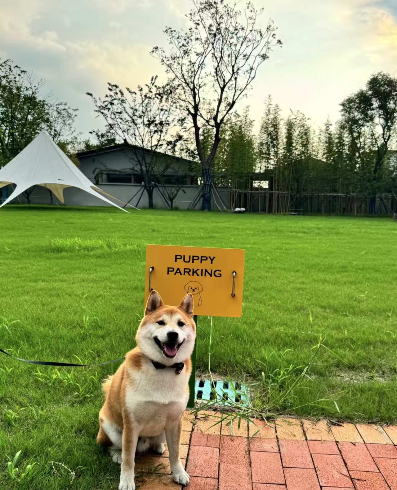 1772172552669582.jpg a0e8f3009810b2adeefe4e435abe3ed.jpg